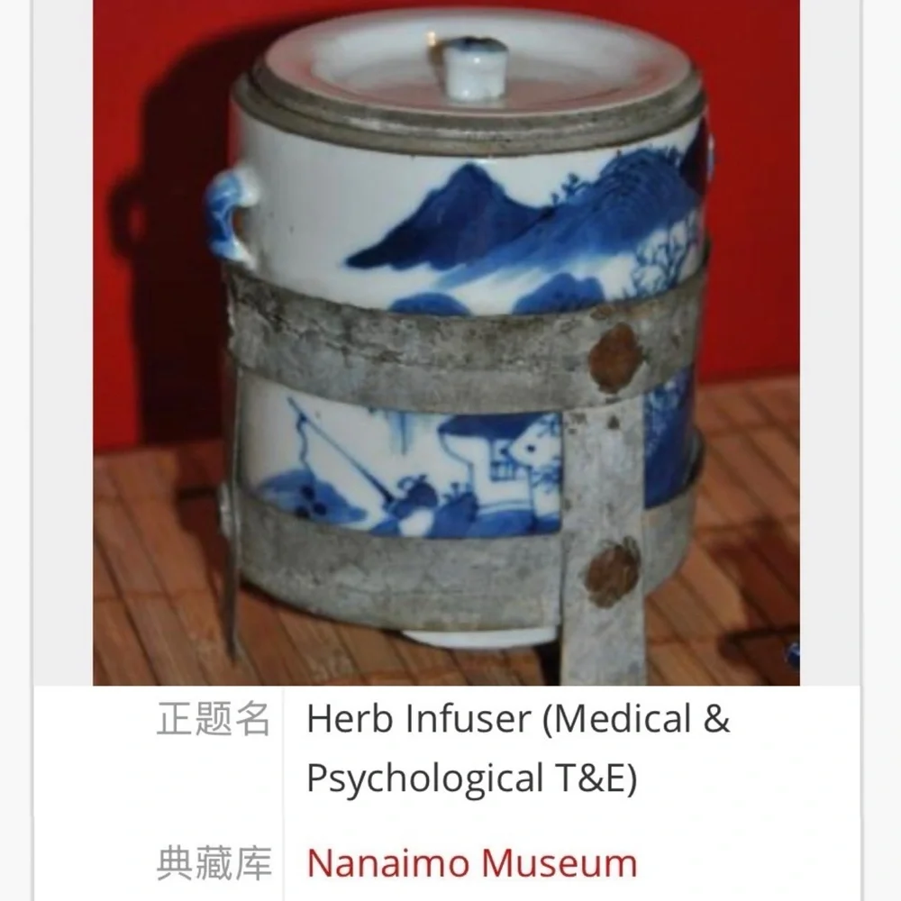 Chinese Tea Caddy Porcelain Canister Double Lid Herb Infuser Apothecary Jar